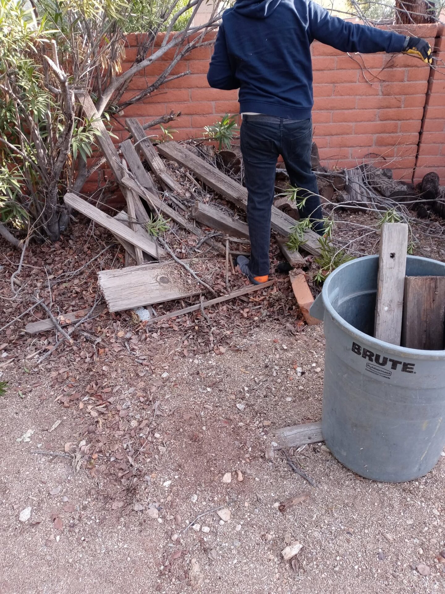 A before photo of a worker clearing out lumber and debris in a backyard in Catalina, AZ
